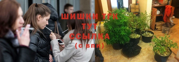ГАЛЛЮЦИНОГЕННЫЕ ГРИБЫ Алексеевка