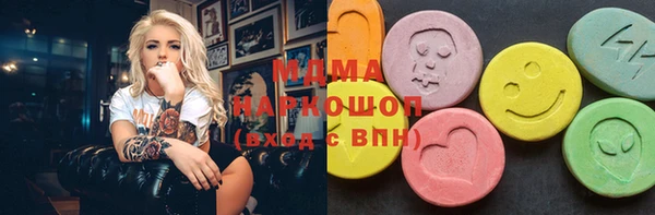 гашик Алексин