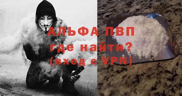 гашик Алексин