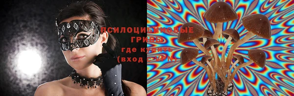 гидропоника Алзамай