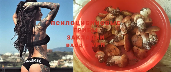 гашик Алексин