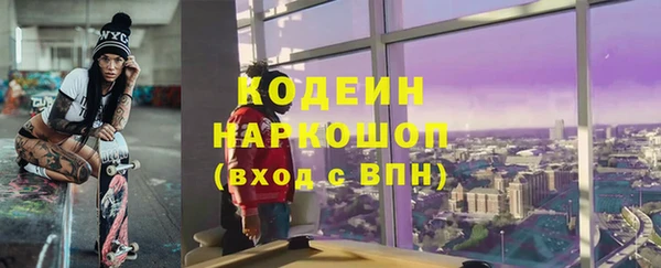гашик Алексин