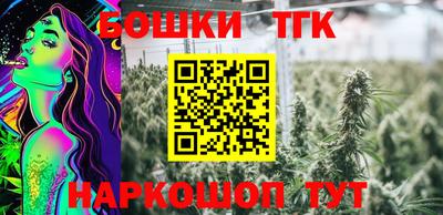 гидра Долгопрудный