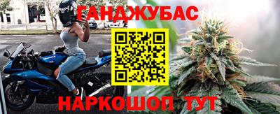 гидра Долгопрудный
