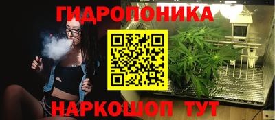 хмурый Дмитров