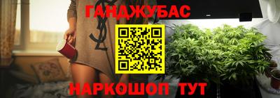 гидра Долгопрудный