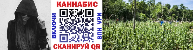 Каннабис VHQ  Карасук 